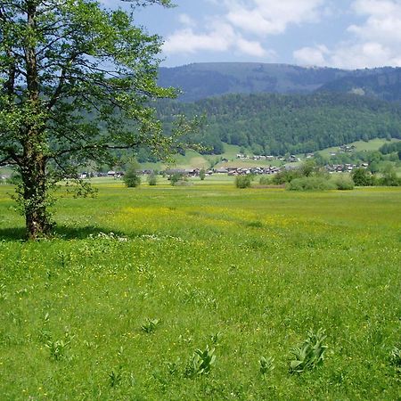 Gasthof Taube Бицау Экстерьер фото