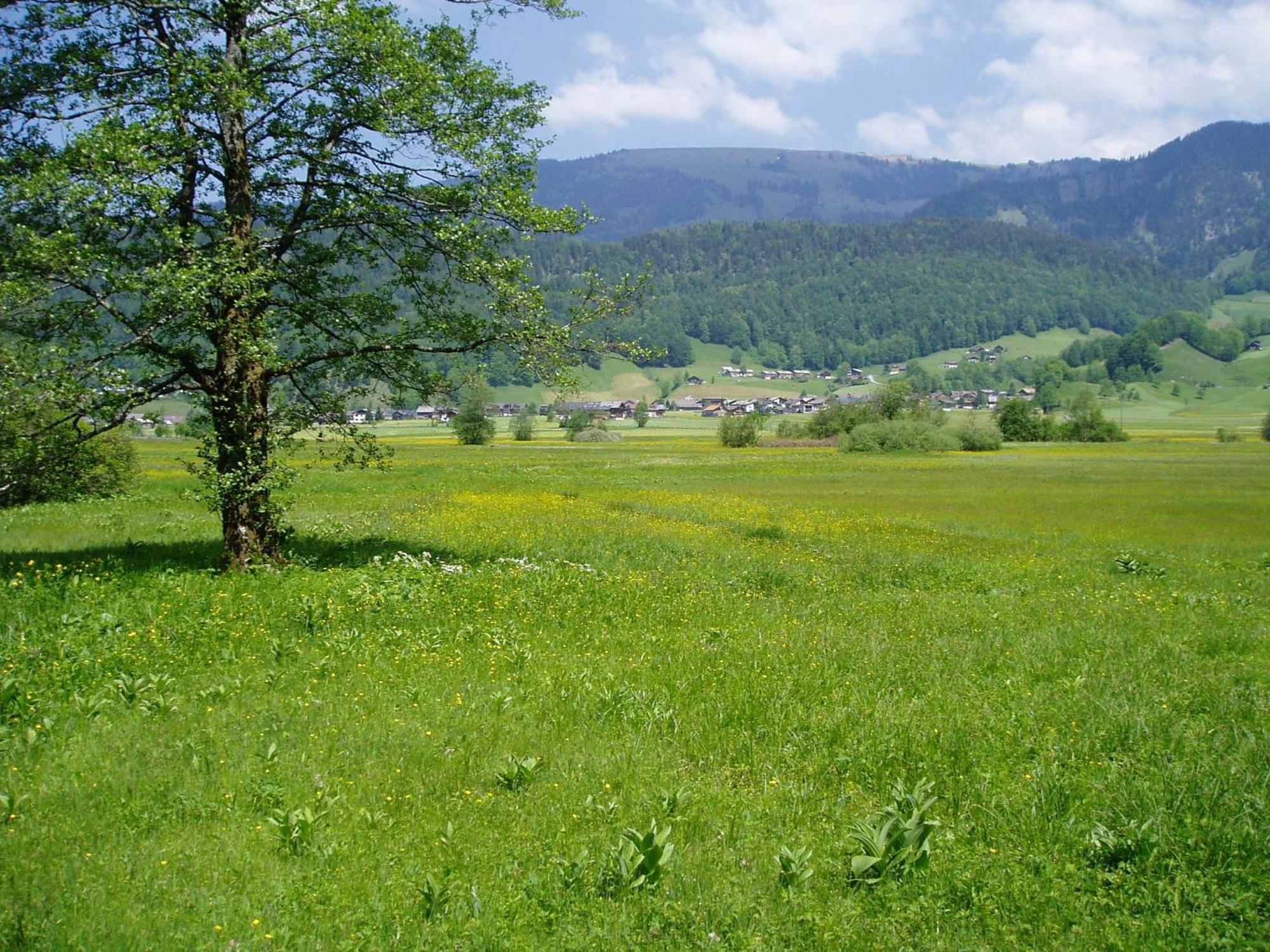 Gasthof Taube Бицау Экстерьер фото